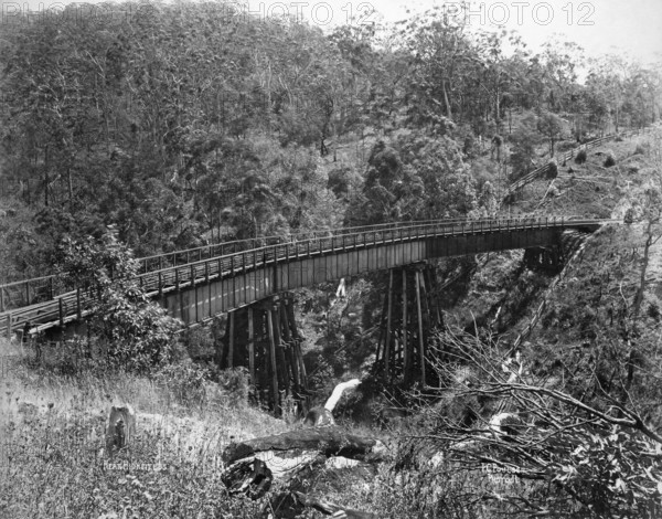 Toowoomba Range near Highfields, c1894. Creator: Poul C Poulsen.
