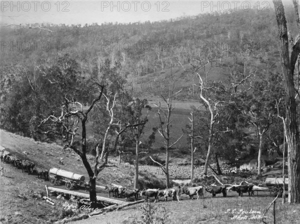 Upper Albert On the road, 1894. Creator: Poul C Poulsen.