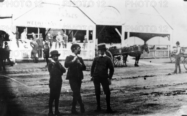 Walker's Sale Yards, c1891. Creator: Unknown.