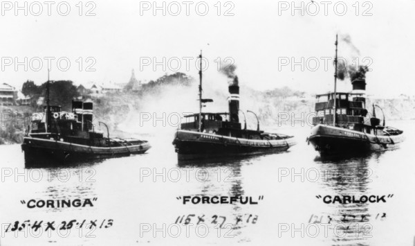 Tugboats: "Coringa", "Forceful", "Carlock", c1910s. Creator: Unknown.