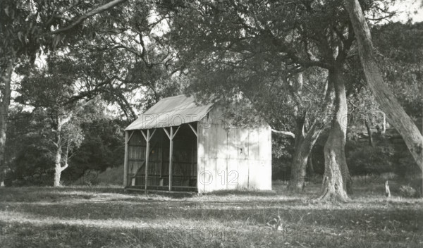 Opening of the tram service to The Spit, 1900. Creator: Unknown.