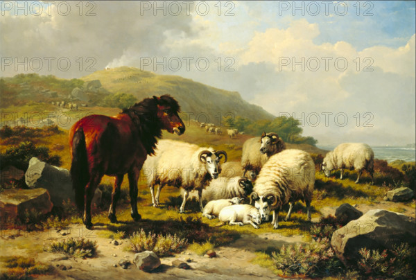 Landscape with Sheep, c1820-1880. Creator: Eugène Verboeckhoven.