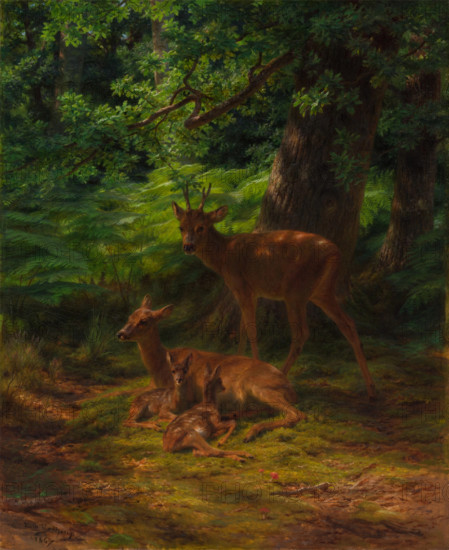 Deer in Repose, 1867. Creator: Rosa Bonheur.