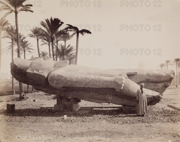Statue of Ramesses II Resting on Its Back at Memphis, 19th century. Creator: Pascal Sébah.