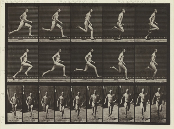 Plate #60, Animal Locomotion, no date [1884-1885]. Creator: Eadweard J Muybridge.