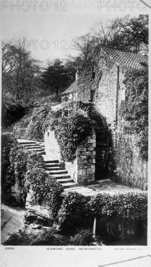 Newcastle Upon Tyne, Jesmond Dene, The Water Mill c1887. Creator: Unknown.