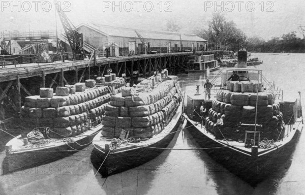 Paddle steamers and barges carrying wool bales - unknown location. Creator: Unknown.