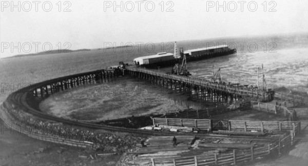 Gladstone Harbour Rail Jetty, 1925. Creator: Jack Bain.