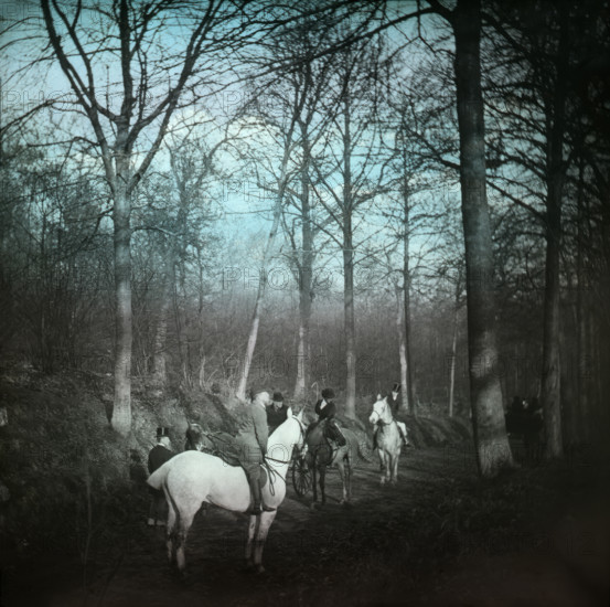 Country road with horses and carriage, possibly Ireland, c1890s. Creator: Robert Augustus Henry L'Estrange.