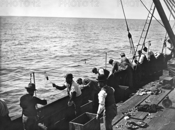 Snapper fishing, Moreton Bay, Queensland, c1900s. Creator: Robert Augustus Henry L'Estrange.
