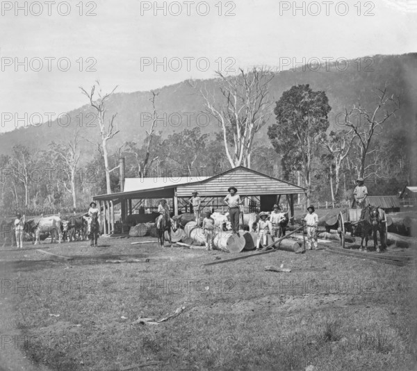 Saw mill, possibly Coomera region, Queensland, c1880s. Creator: Robert Augustus Henry L'Estrange.