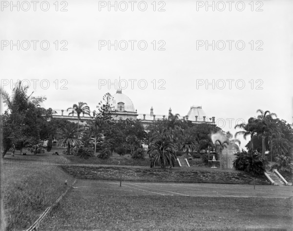 Brisbane City Botanic Gardens, 1910. Creator: Robert Augustus Henry L'Estrange.