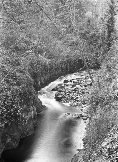 Creek/river unknown location, c1900s. Creator: Robert Augustus Henry L'Estrange.