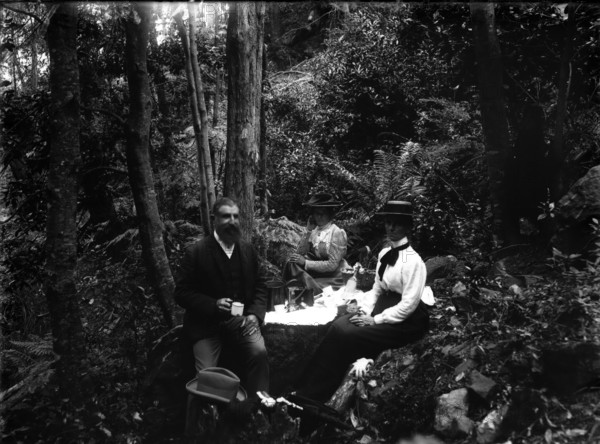 Rainforest walk, picnic possibly Tamborine Mountain region, c1900s. Creator: Robert Augustus Henry L'Estrange.