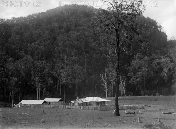 Robert Augustus Henry L'Estrange's "Homestead" Canungra, c1880s. Creator: Robert Augustus Henry L'Estrange.