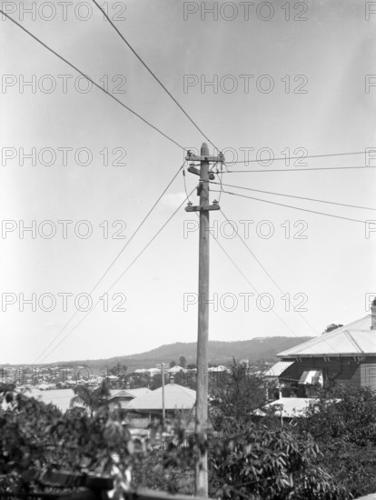 Early Brisbane power poles, c1900s. Creator: Robert Augustus Henry L'Estrange.