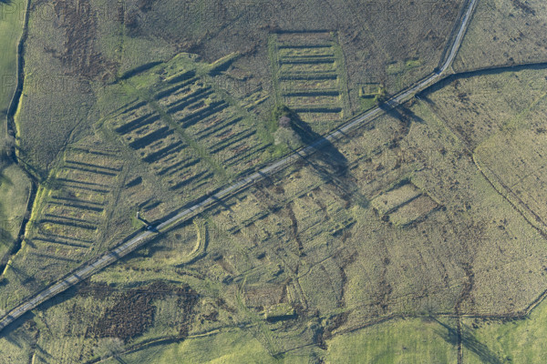 The earthwork remains of Leighton Construction Camp, Breary Banks, North Yorkshire, 2025. Creator: Robyn Andrews.