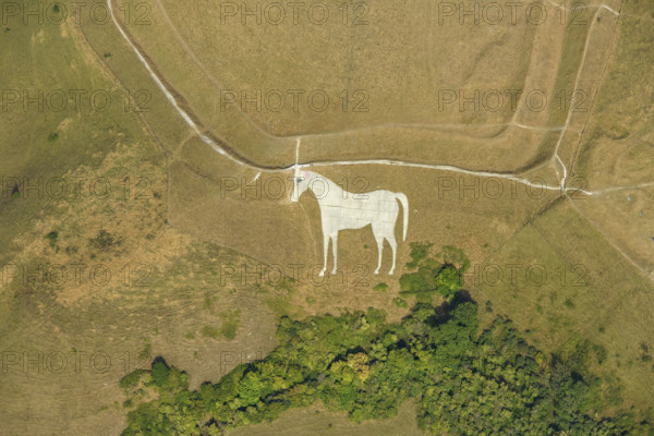 The Westbury White Horse, a chalk hill figure on Bratton Castle hillfort, Westbury, Wiltshire, 2022. Creator: Damian Grady.