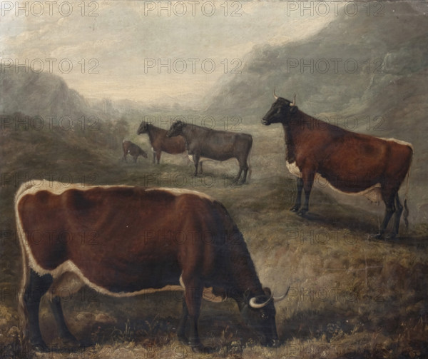 Five Glamorgan Cattle, 1835. Creator: William Shiels.