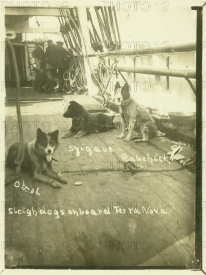 Terra Nova, Antartic Expedition, c1913. Creator: Unknown.