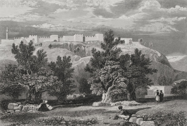 Garden of Olives, Jerusalem, 1840. Creator: Aubert.