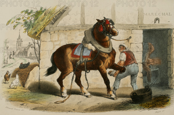 The draft horse, 1856. Creator: Edouard Travies.