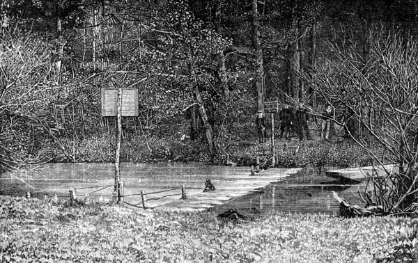 Obstruction on the River Mole, near Esher, 1890. Creator: Unknown.