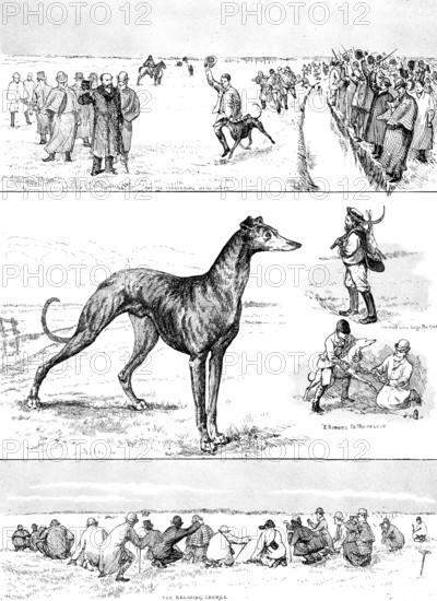 Sketches at the Waterloo Cup Meeting, 1890. Creator: Unknown.