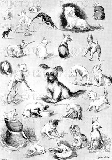Nature’s Fitful Moments: sketches at the Terrier Club Show, 1890. Creator: Carl Hentschel.