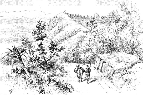 The Lushai Expedition: a corner of the Haka Road, near Fort Langleh, 1890. Creator: Unknown.