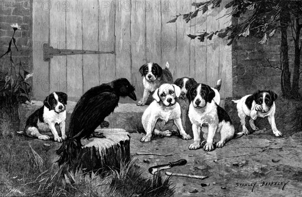 Quoth The Raven: "Never More!", 1890.  Creator: John Greenaway.