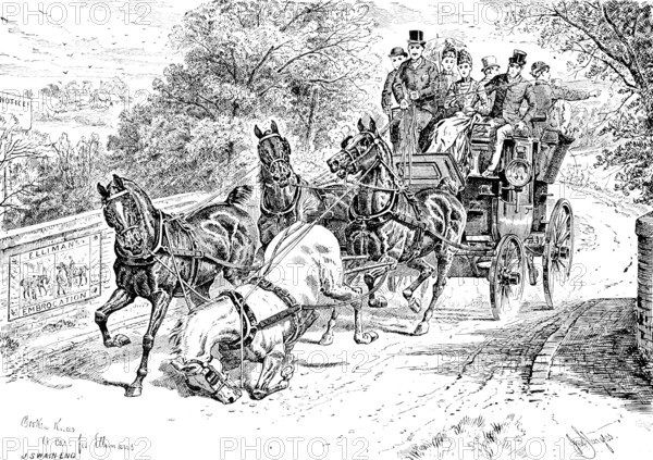 Advertisement for Elliman’s Universal Embrocation, 1890. Creators: William Stanfield Sturgess, Joseph Swain.