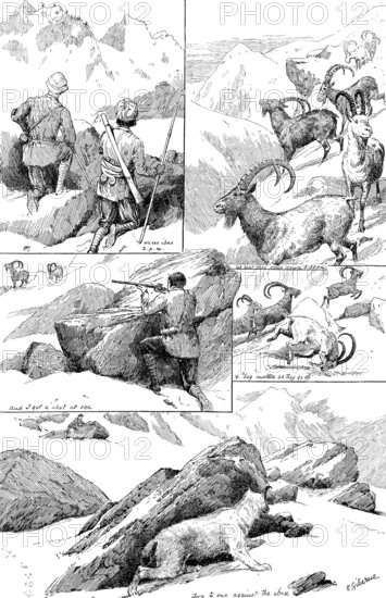 Ibex-shooting in the Shigar Nullahs, Baltistan, Himalayas, 1890. Creator: Unknown.