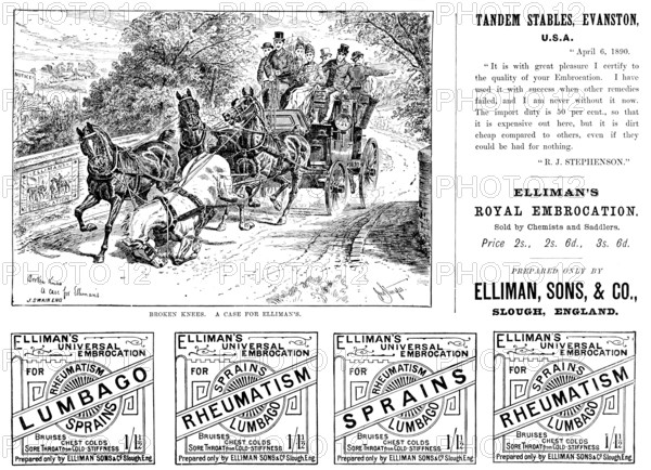 Advertisement for Elliman’s Royal Embrocation, 1890. Creator: Joseph Swain.