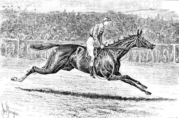 Sainfoin, the Winner of the Derby: the preliminary canter, 1890. Creator: Carl Hentschel.
