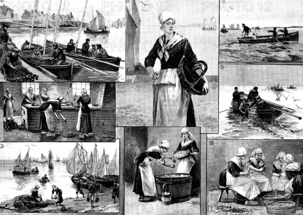 The French Sardine Industry, 1890. Creator: R. Taylor.