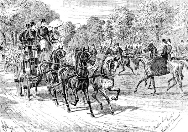 Advertisement for Elliman’s Universal Embrocation, 1890. Creator: William Stanfield Sturgess.