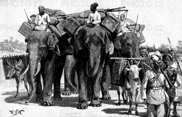 The Military Police of Burmah: forming escort of baggage animals on the march, 1890. Creator: Unknown.