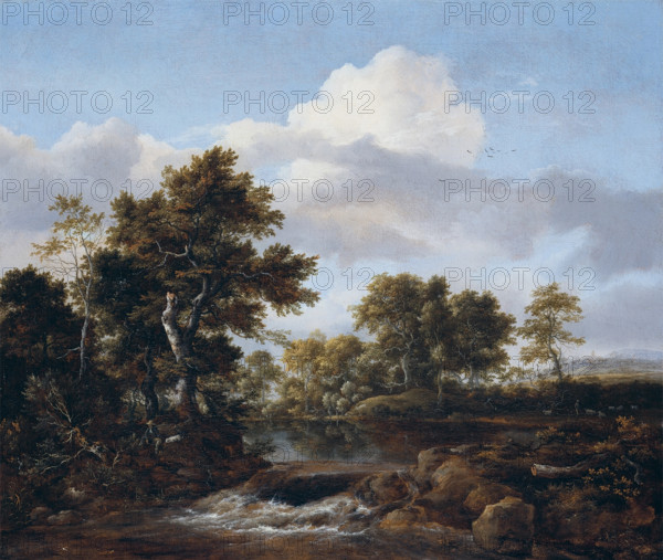 Wooded Landscape with a Stream, between 1665 and 1668. Creator: Jacob van Ruisdael.
