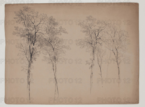 Trees in the Catskill Mountains, June 14, 1856, 1856. Creator: John William Casilear.