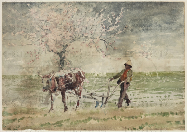 Blossom Time in Virginia, 19th century. Creator: Winslow Homer.