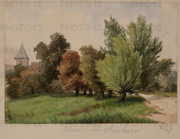 View in Roxbury, c1820-1865. Creator: David Claypoole Johnston.