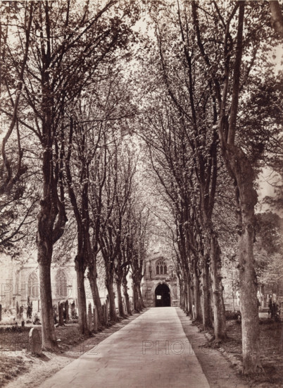 Avenue to the Church, Stratford on Avon, between 1870 and 1880. Creator: Francis Bedford.