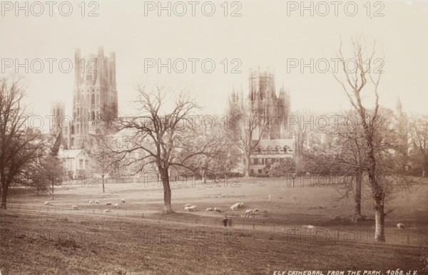 Ely Cathedral from the Park, between 1870 and 1880. Creator: James Valentine.