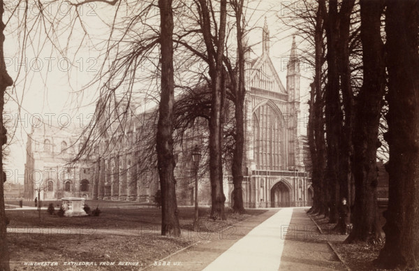 Winchester Cathedral from the Avenue, between 1870 and 1880. Creator: James Valentine.