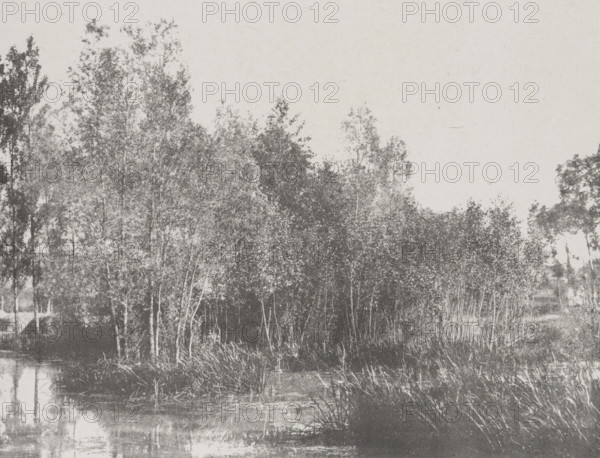 A Marsh, c1852. Creator: Adalbert Cuvelier.