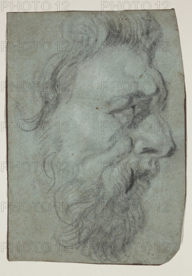 Head of a Man Facing Right, between 17th and 18th century. Creator: Unknown.