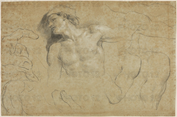 Studies of a Male Torso with Additional Studies of Hands, Shoulders, and a Leg, between 1650 & 1719. Creator: Carlo Cignani.