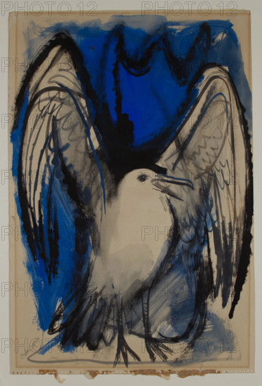Sea Gull, c.between 1940 and 1950. Creator: Carlos Lopez.