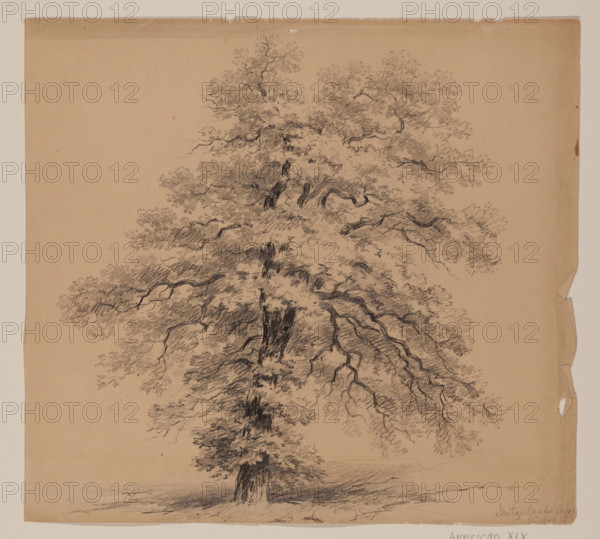 Switzerland, September 15, 1840. Creator: John William Casilear.